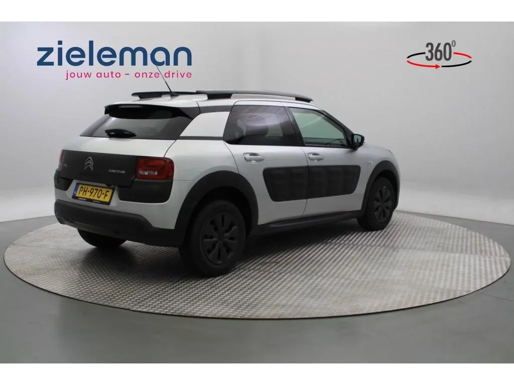 Citroen C4 CACTUS 1.6 BlueHDI Business Plus Navi Panorama Image 2